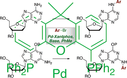 Direct arylation of nucleoside amino groups